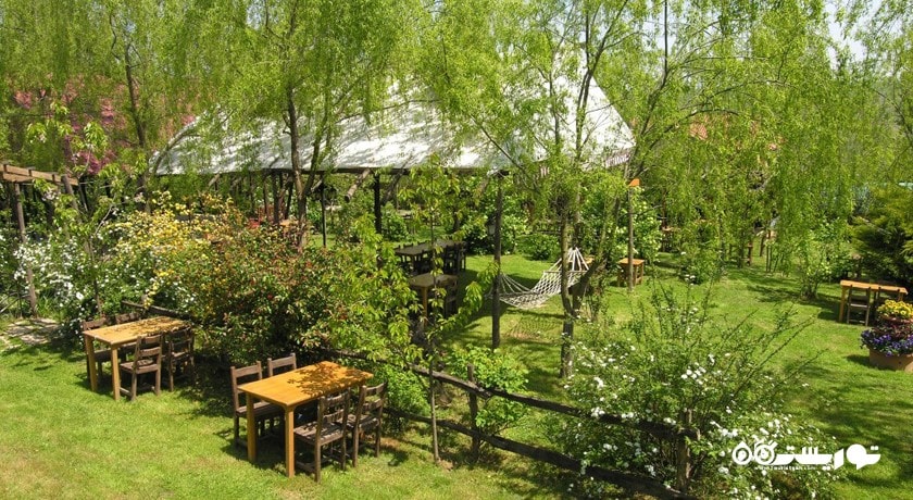 پولونزکوی -  شهر استانبول