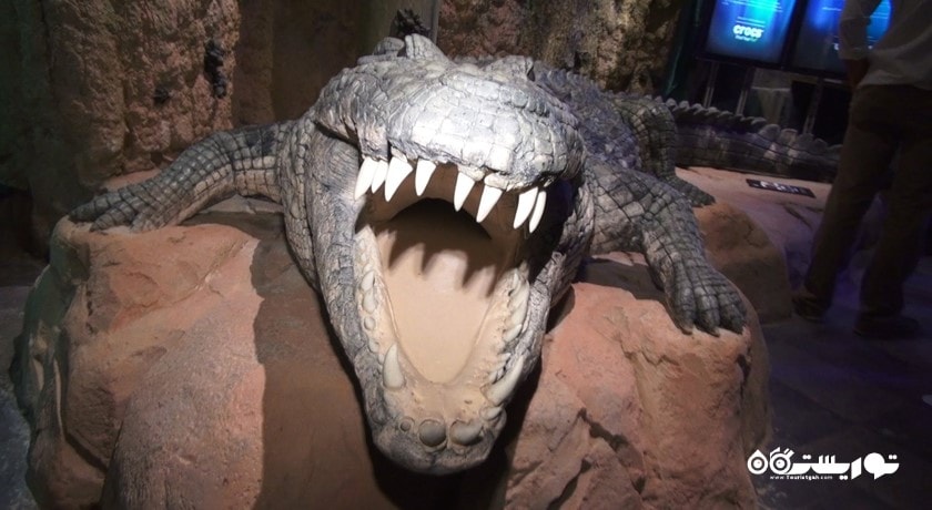 سرگرمی آکواریوم و باغ وحش زیر آبی دبی شهر امارات متحده عربی کشور دبی