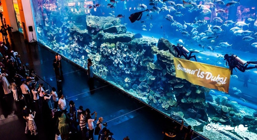 آکواریوم و باغ وحش زیر آبی دبی -  شهر دبی