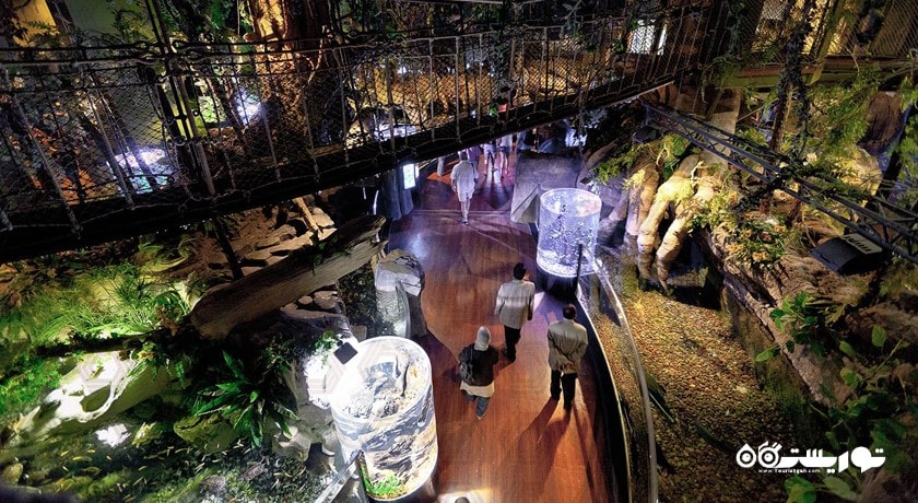 سرگرمی آکواریوم و باغ وحش زیر آبی دبی شهر امارات متحده عربی کشور دبی