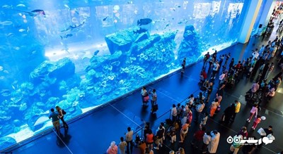 سرگرمی آکواریوم و باغ وحش زیر آبی دبی شهر امارات متحده عربی کشور دبی