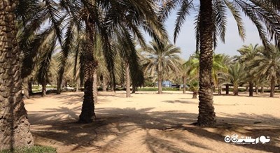 پارک ساحلی الممزر -  شهر دبی