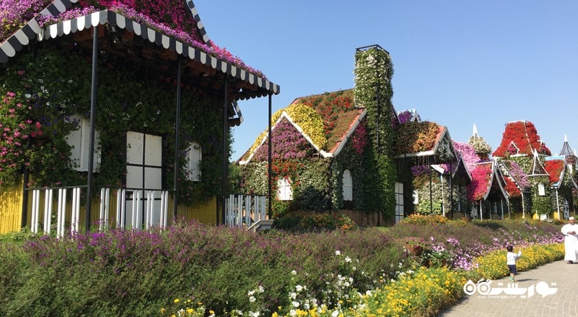  دبی میراکل گاردن شهر امارات متحده عربی کشور دبی