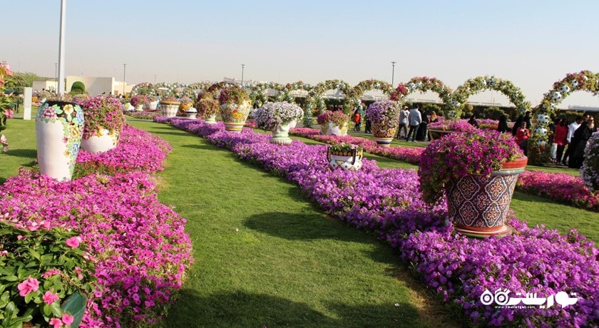  دبی میراکل گاردن شهر امارات متحده عربی کشور دبی