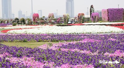  دبی میراکل گاردن شهر امارات متحده عربی کشور دبی