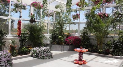  باغ پروانه دبی شهر امارات متحده عربی کشور دبی