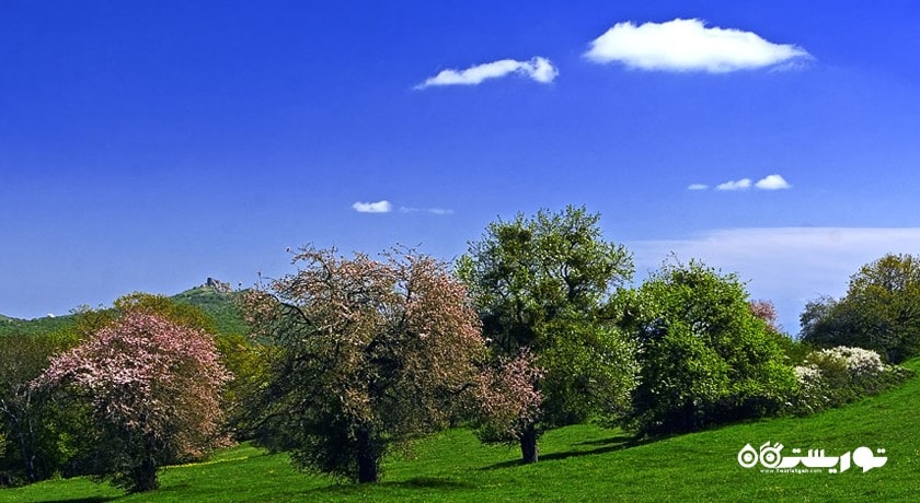  کجوری شهر گرجستان کشور تفلیس