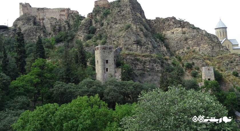 سرگرمی باغ گیاه شناسی ملی گرجستان شهر گرجستان کشور تفلیس