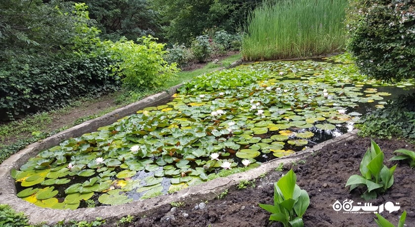 سرگرمی باغ گیاه شناسی ملی گرجستان شهر گرجستان کشور تفلیس