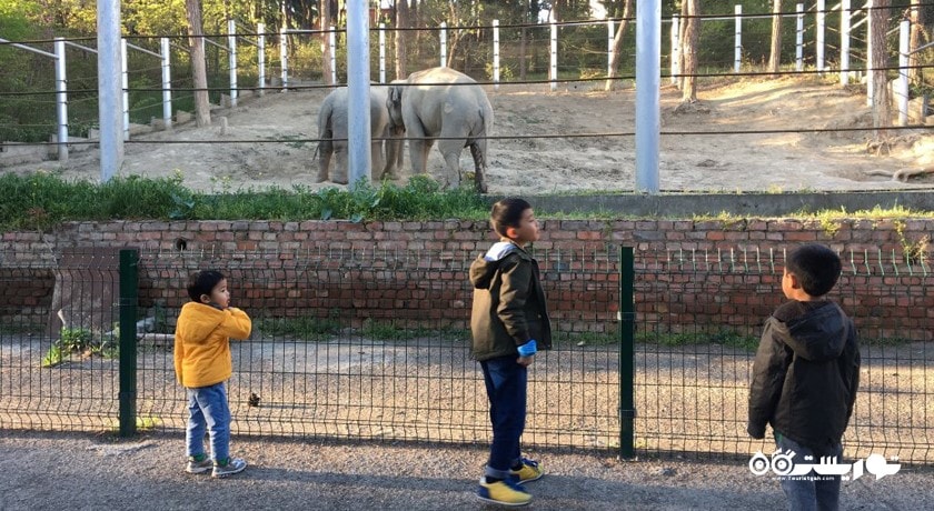 باغ وحش تفلیس -  شهر تفلیس