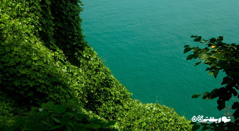 ساحل سوین کونتسکی -  شهر باتومی