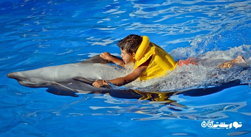 سرگرمی آکواریوم و دلفیناریوم باتومی (پارک دلفین ها) شهر گرجستان کشور باتومی