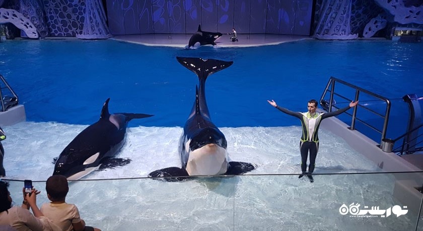 آکواریوم مسکوواریوم -  شهر مسکو