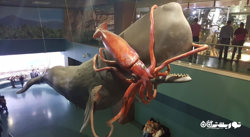 سرگرمی آکواریوم مسکوواریوم شهر روسیه کشور مسکو