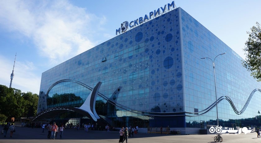 آکواریوم مسکوواریوم -  شهر مسکو
