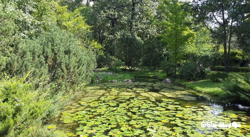 سرگرمی باغ گیاه شناسی آکادمی علوم شهر روسیه کشور مسکو