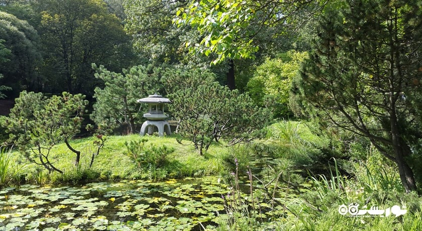 سرگرمی باغ گیاه شناسی آکادمی علوم شهر روسیه کشور مسکو