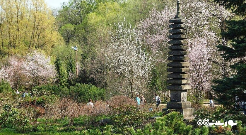 سرگرمی باغ گیاه شناسی آکادمی علوم شهر روسیه کشور مسکو