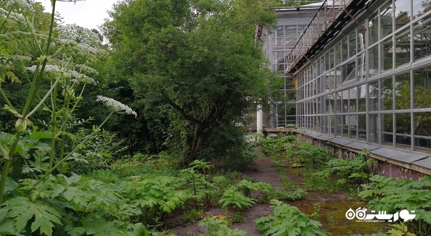 سرگرمی باغ گیاه شناسی آکادمی علوم شهر روسیه کشور مسکو