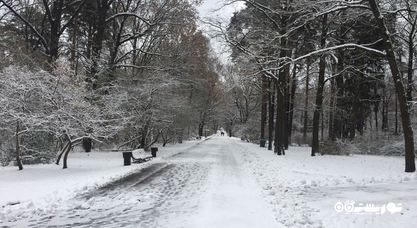 باغ گیاه شناسی آکادمی علوم -  شهر مسکو