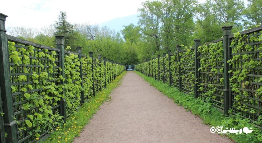  عمارت کوسکووا شهر روسیه کشور مسکو