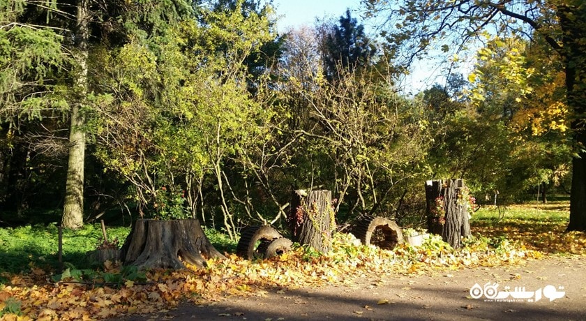 سرگرمی باغ گیاه شناسی سن پترزبورگ شهر روسیه کشور سن پترزبورگ