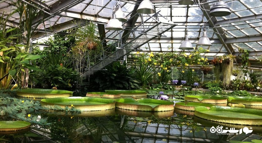سرگرمی باغ گیاه شناسی سن پترزبورگ شهر روسیه کشور سن پترزبورگ