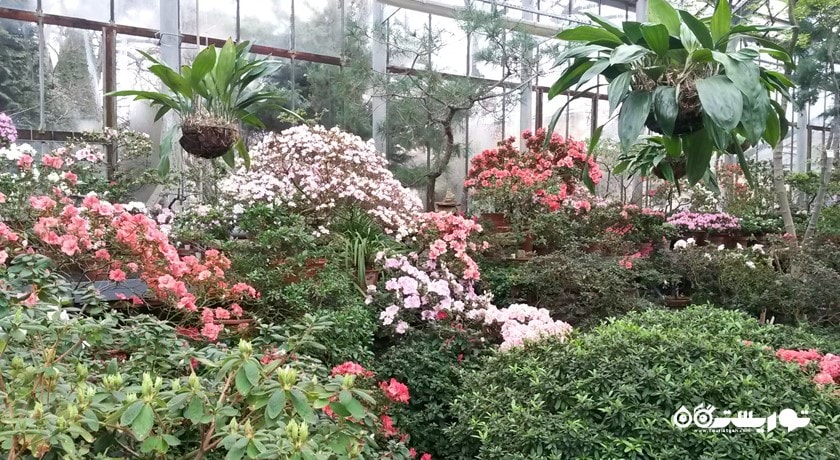 باغ گیاه شناسی سن پترزبورگ -  شهر سن پترزبورگ