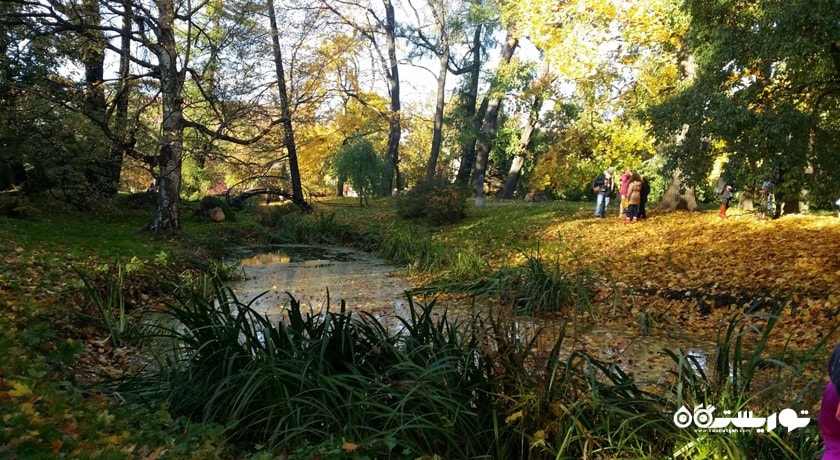 سرگرمی باغ گیاه شناسی سن پترزبورگ شهر روسیه کشور سن پترزبورگ