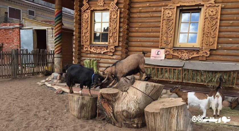 سرگرمی باغ وحش لنینگراد شهر روسیه کشور سن پترزبورگ