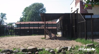 باغ وحش لنینگراد -  شهر سن پترزبورگ