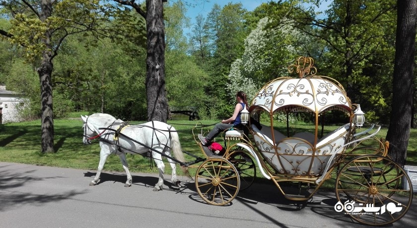 سرگرمی مرکز فرهنگی و باغ تفریحی کیروف شهر روسیه کشور سن پترزبورگ