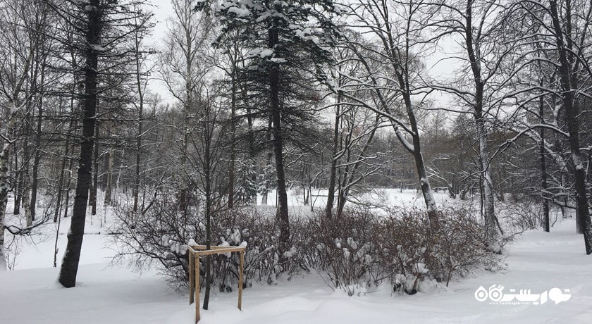 سرگرمی مرکز فرهنگی و باغ تفریحی کیروف شهر روسیه کشور سن پترزبورگ