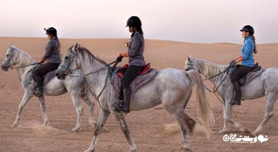 سرگرمی اسب سواری دبی شهر امارات متحده عربی کشور دبی