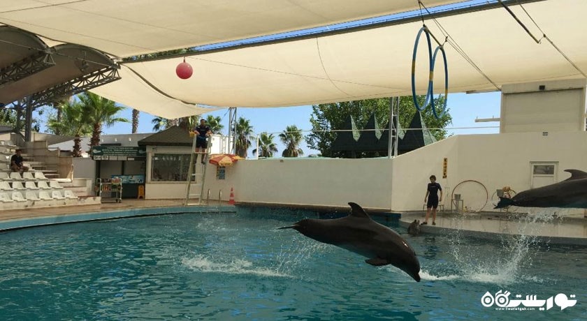 سرگرمی پارک آبی و دلفین سی لانیا شهر ترکیه کشور آنتالیا