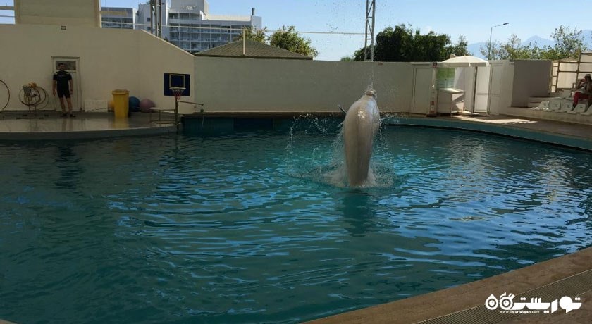 سرگرمی پارک آبی و دلفین سی لانیا شهر ترکیه کشور آنتالیا