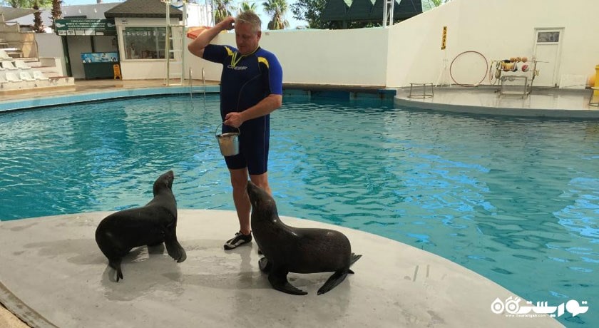 سرگرمی پارک آبی و دلفین سی لانیا شهر ترکیه کشور آنتالیا