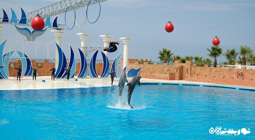 سرگرمی پارک آبی و دلفین سی لانیا شهر ترکیه کشور آنتالیا