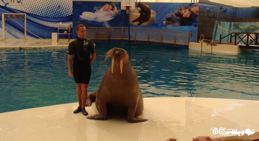 سرگرمی تروی آکوا (پارک آبی تروی) شهر ترکیه کشور آنتالیا