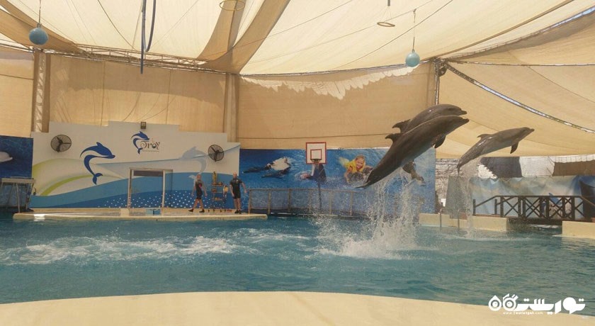 تروی آکوا (پارک آبی تروی) -  شهر آنتالیا