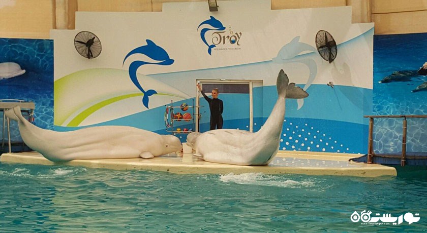 تروی آکوا (پارک آبی تروی) -  شهر آنتالیا