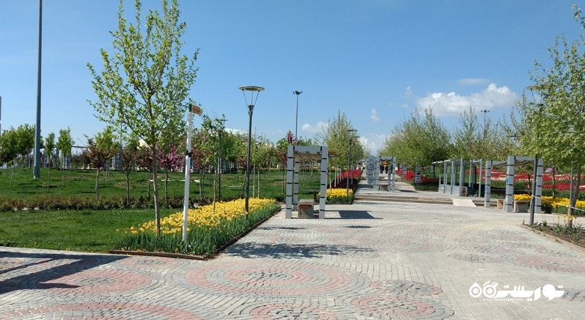 سرگرمی باغ پروانه های گرمسیری قونیه شهر ترکیه کشور قونیه