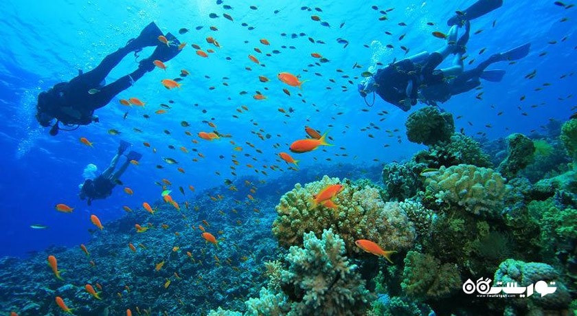 سرگرمی غواصی در پوکت شهر تایلند کشور پوکت