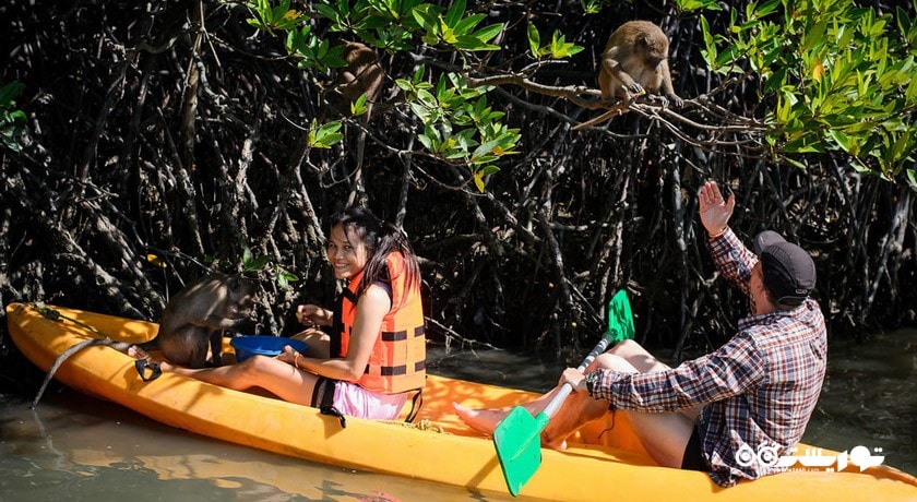 سرگرمی کایاک سواری شهر تایلند کشور پوکت
