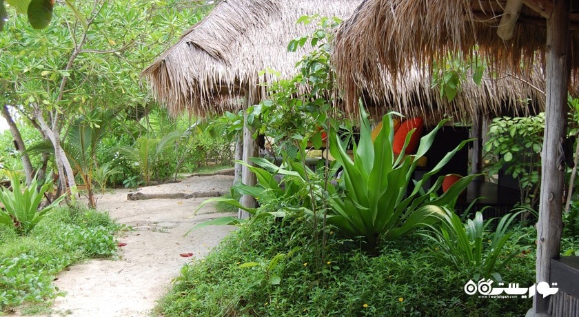 سرگرمی جزیره بون شهر تایلند کشور پوکت