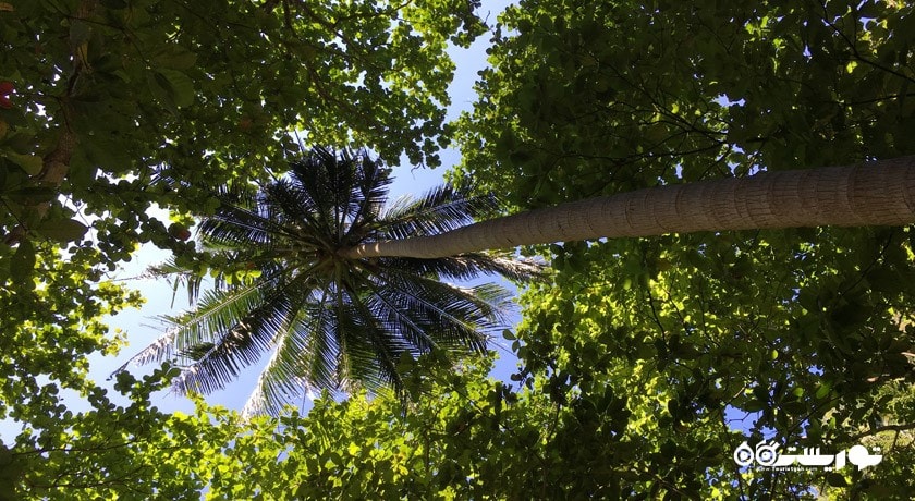 سرگرمی جزایر کو کای شهر تایلند کشور پوکت