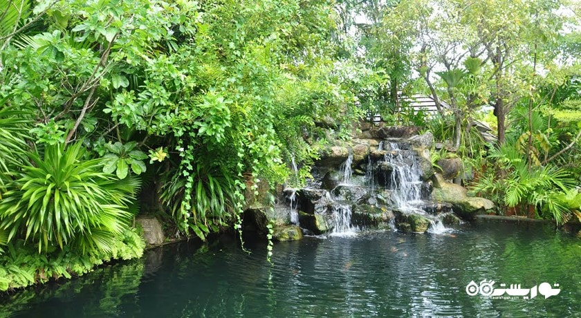 سرگرمی باغ گیاه شناسی پوکت شهر تایلند کشور پوکت