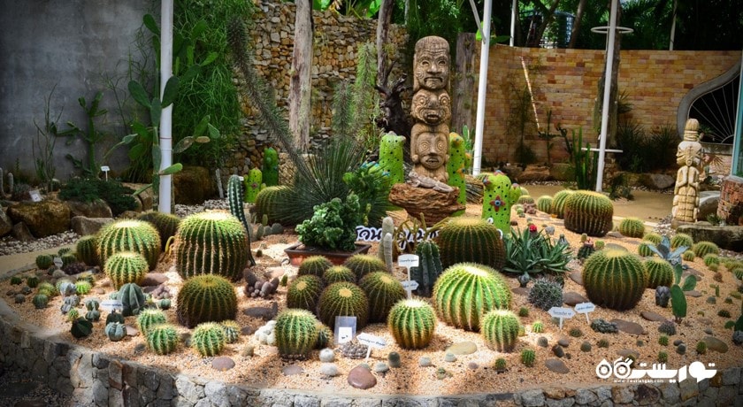 سرگرمی باغ گیاه شناسی پوکت شهر تایلند کشور پوکت