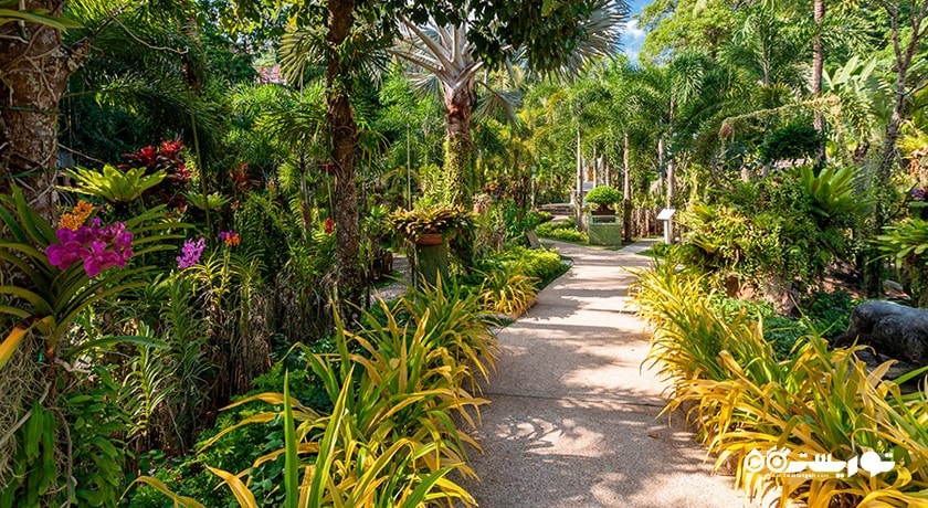سرگرمی باغ گیاه شناسی پوکت شهر تایلند کشور پوکت