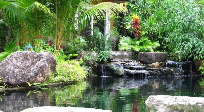 سرگرمی باغ گیاه شناسی پوکت شهر تایلند کشور پوکت